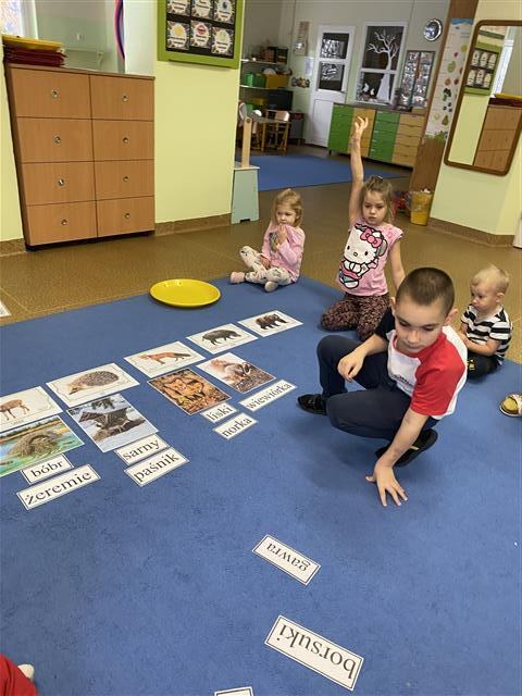 Misie: Listopad 2025 - Zdjęcie 170