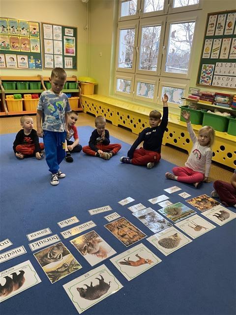 Misie: Listopad 2025 - Zdjęcie 171