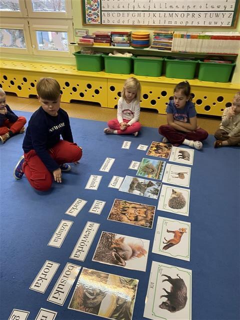 Misie: Listopad 2025 - Zdjęcie 174