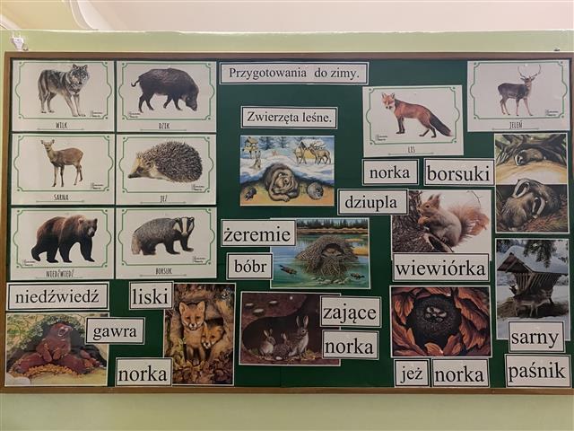 Misie: Listopad 2025 - Zdjęcie 176