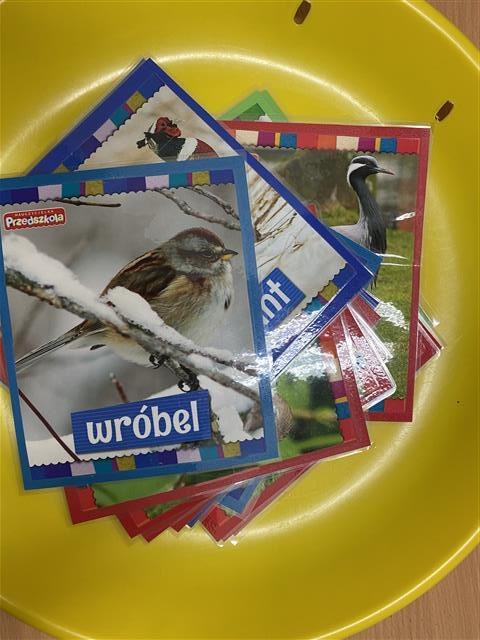 Misie: Listopad 2025 - Zdjęcie 177