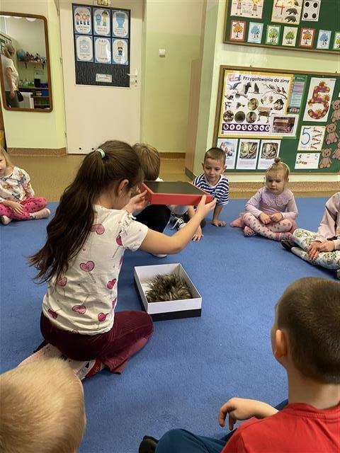 Misie: Listopad 2025 - Zdjęcie 181