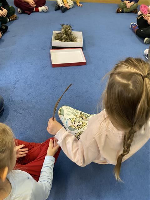 Misie: Listopad 2025 - Zdjęcie 182