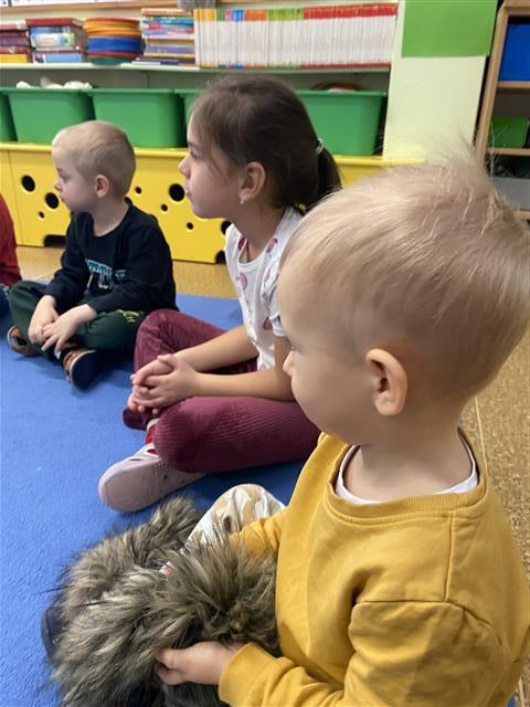 Misie: Listopad 2025 - Zdjęcie 184