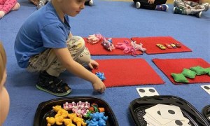 Misie: Listopad 2025 - Zdjęcie 5