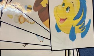 Misie: Listopad 2025 - Zdjęcie 19