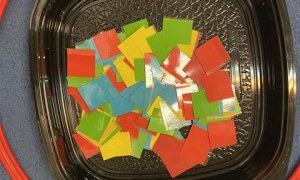 Misie: Listopad 2025 - Zdjęcie 84