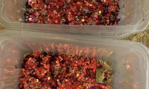 Misie: Listopad 2025 - Zdjęcie 95