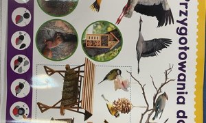 Misie: Listopad 2025 - Zdjęcie 113