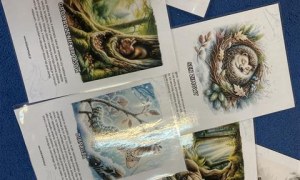 Misie: Listopad 2025 - Zdjęcie 114