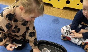 Misie: Listopad 2025 - Zdjęcie 129