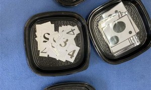 Misie: Listopad 2025 - Zdjęcie 130