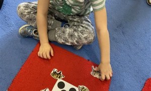 Misie: Listopad 2025 - Zdjęcie 134