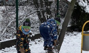 Misie: Listopad 2025 - Zdjęcie 140