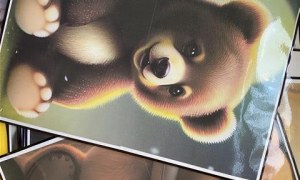 Misie: Listopad 2025 - Zdjęcie 148