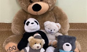 Misie: Listopad 2025 - Zdjęcie 149