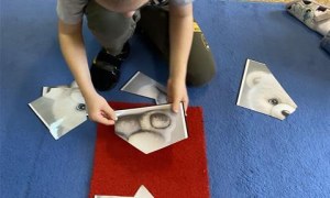 Misie: Listopad 2025 - Zdjęcie 153