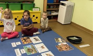 Misie: Listopad 2025 - Zdjęcie 169