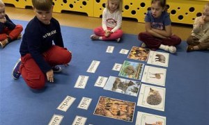 Misie: Listopad 2025 - Zdjęcie 174