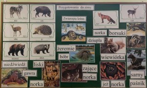 Misie: Listopad 2025 - Zdjęcie 176