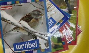 Misie: Listopad 2025 - Zdjęcie 177