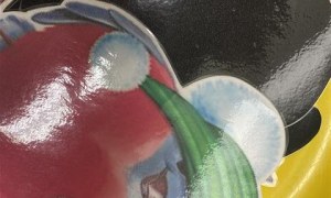 Misie: Listopad 2025 - Zdjęcie 178