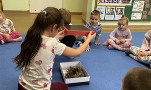 Misie: Listopad 2025 - Zdjęcie 181