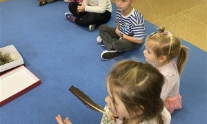 Misie: Listopad 2025 - Zdjęcie 183