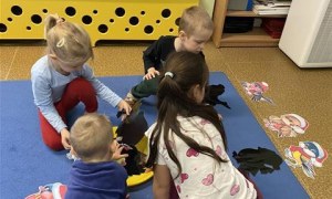 Misie: Listopad 2025 - Zdjęcie 187