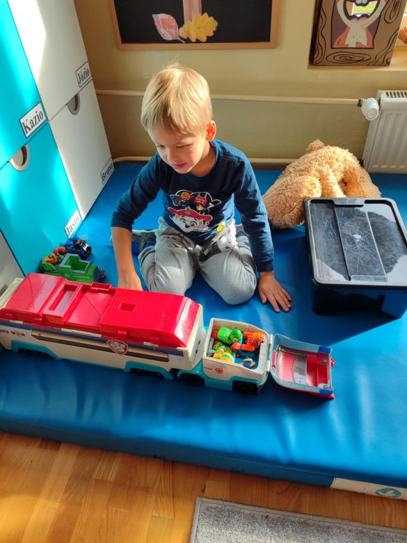 Tygryski: Listopad 2025 - Zdjęcie 2