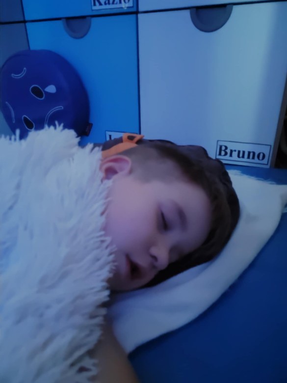 Tygryski: Listopad 2025 - Zdjęcie 8