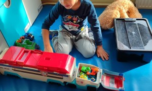 Tygryski: Listopad 2025 - Zdjęcie 2