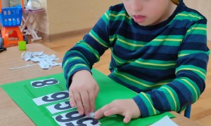 Tygryski: Listopad 2025 - Zdjęcie 6