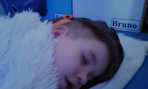 Tygryski: Listopad 2025 - Zdjęcie 8