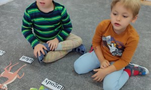 Tygryski: Listopad 2025 - Zdjęcie 10