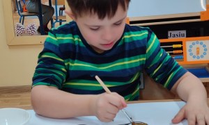 Tygryski: Listopad 2025 - Zdjęcie 29