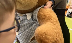 Tygryski: Listopad 2025 - Zdjęcie 31