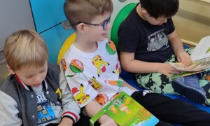 Tygryski: Listopad 2025 - Zdjęcie 57