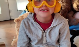 Tygryski: Listopad 2025 - Zdjęcie 20