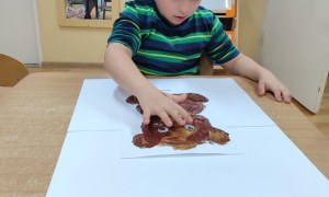 Tygryski: Listopad 2025 - Zdjęcie 24