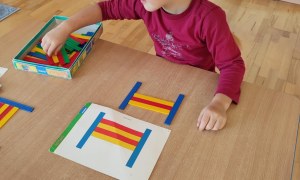 Tygryski: Listopad 2025 - Zdjęcie 43