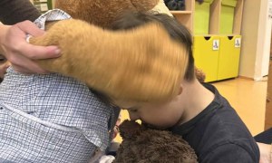 Tygryski: Listopad 2025 - Zdjęcie 58