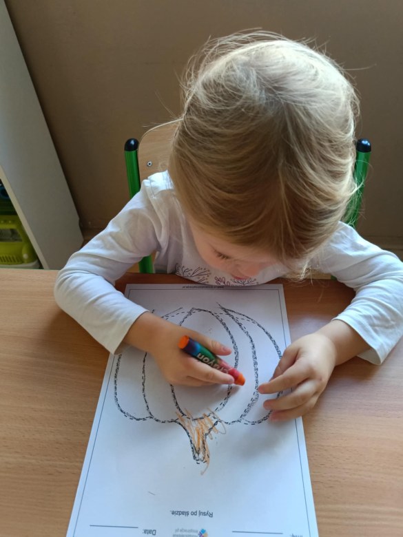 Jeżyki: Listopad 2025 - Zdjęcie 23