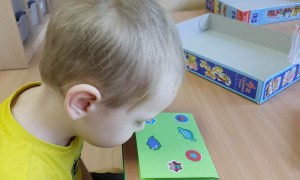 Jeżyki: Listopad 2025 - Zdjęcie 2