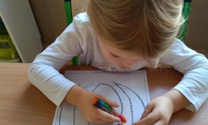 Jeżyki: Listopad 2025 - Zdjęcie 23