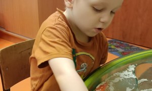 Jeżyki: Listopad 2025 - Zdjęcie 26