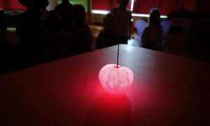 Sówki: Andrzejkowe Czary Mary - Zdjęcie 85