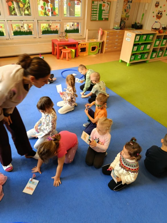 Sówki: Listopad 2025 - Zdjęcie 53