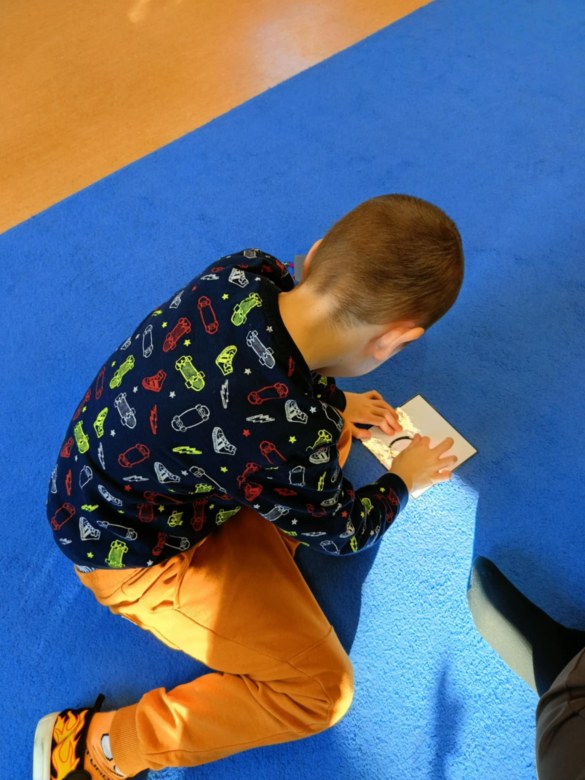 Sówki: Listopad 2025 - Zdjęcie 63