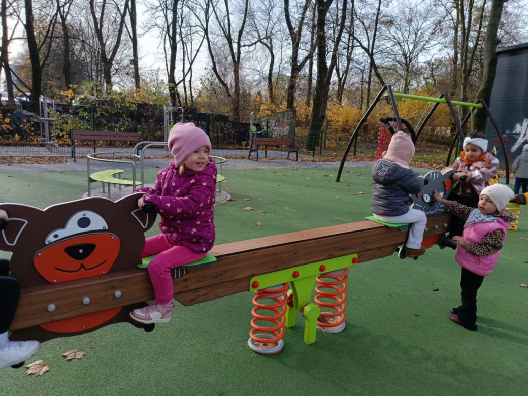 Sówki: Listopad 2025 - Zdjęcie 80